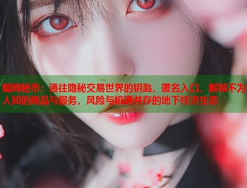 暗网秘市：通往隐秘交易世界的钥匙，匿名入口，解锁不为人知的商品与服务，风险与机遇并存的地下经济生态
