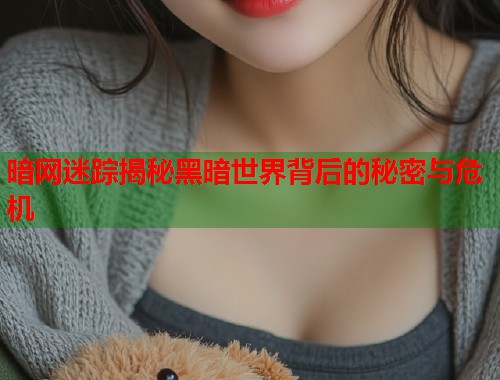 暗网迷踪揭秘黑暗世界背后的秘密与危机