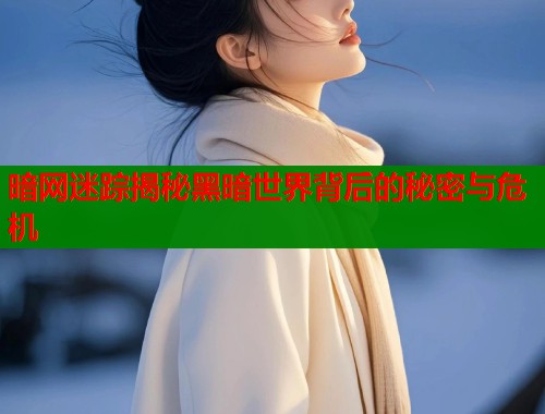 暗网迷踪揭秘黑暗世界背后的秘密与危机