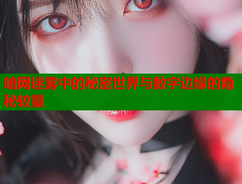 暗网迷雾中的秘密世界与数字边缘的隐秘较量
