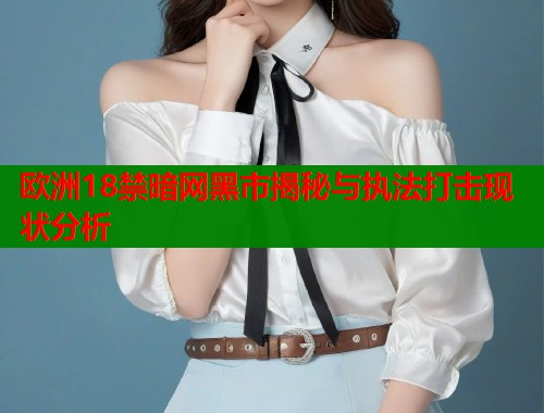 欧洲18禁暗网黑市揭秘与执法打击现状分析