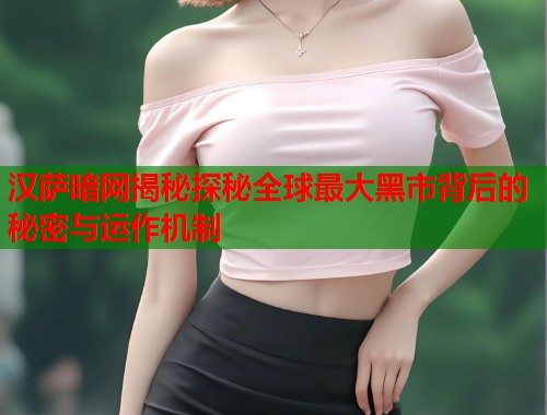 汉萨暗网揭秘探秘全球最大黑市背后的秘密与运作机制
