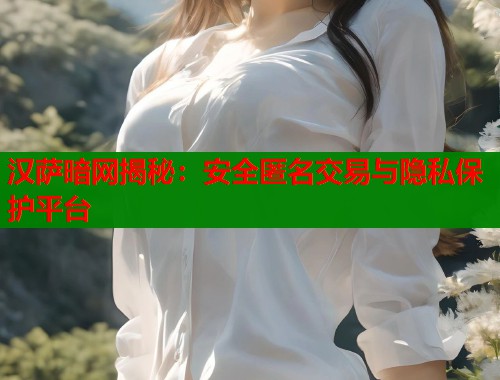 汉萨暗网揭秘：安全匿名交易与隐私保护平台