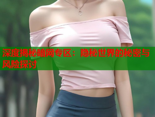 深度揭秘暗网专区：隐秘世界的秘密与风险探讨