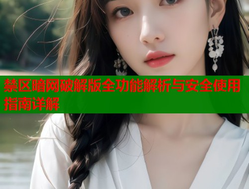 禁区暗网破解版全功能解析与安全使用指南详解