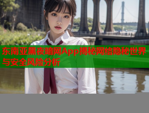 东南亚黑夜暗网App揭秘网络隐秘世界与安全风险分析