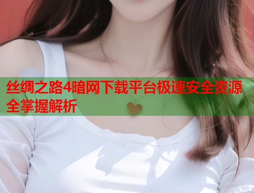 丝绸之路4暗网下载平台极速安全资源全掌握解析