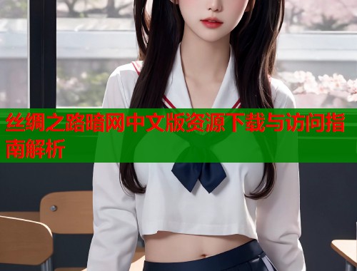 丝绸之路暗网中文版资源下载与访问指南解析