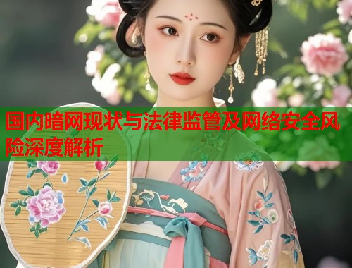 国内暗网现状与法律监管及网络安全风险深度解析