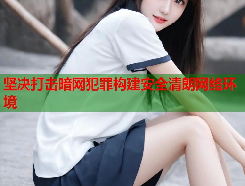 坚决打击暗网犯罪构建安全清朗网络环境
