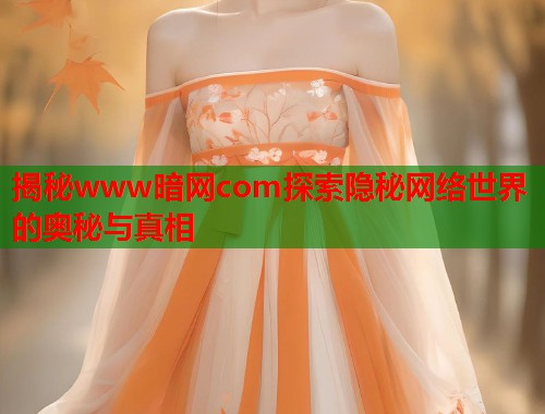 揭秘www暗网com探索隐秘网络世界的奥秘与真相