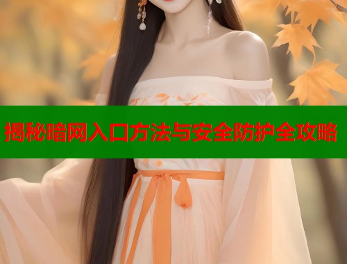 揭秘暗网入口方法与安全防护全攻略