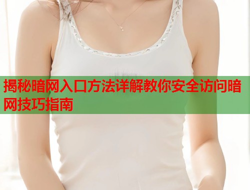 揭秘暗网入口方法详解教你安全访问暗网技巧指南