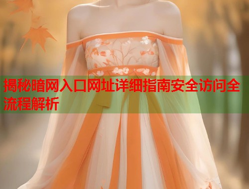 揭秘暗网入口网址详细指南安全访问全流程解析