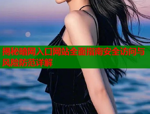 揭秘暗网入口网站全面指南安全访问与风险防范详解