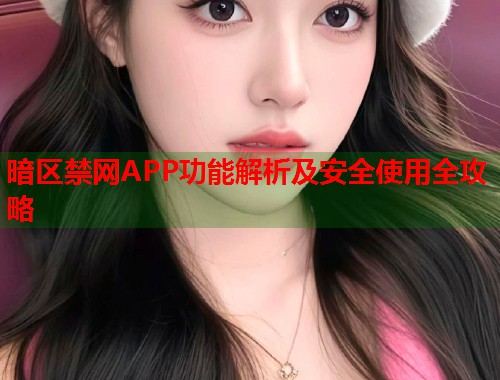 暗区禁网APP功能解析及安全使用全攻略