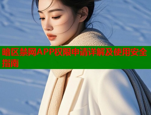 暗区禁网APP权限申请详解及使用安全指南