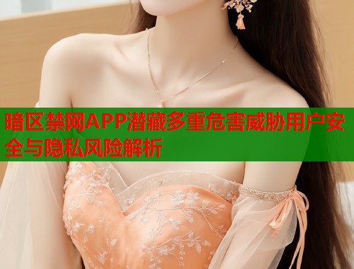 暗区禁网APP潜藏多重危害威胁用户安全与隐私风险解析