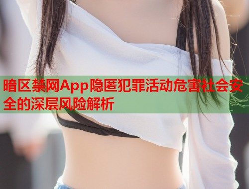 暗区禁网App隐匿犯罪活动危害社会安全的深层风险解析
