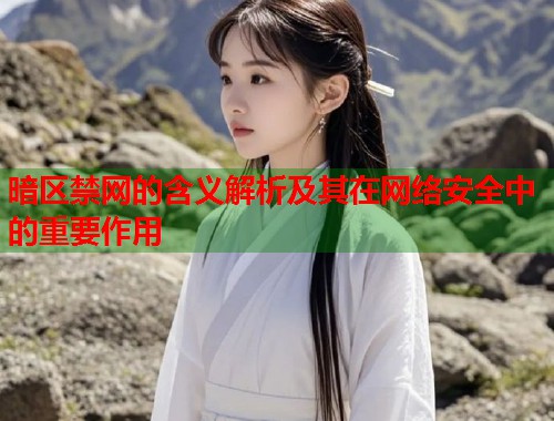 暗区禁网的含义解析及其在网络安全中的重要作用