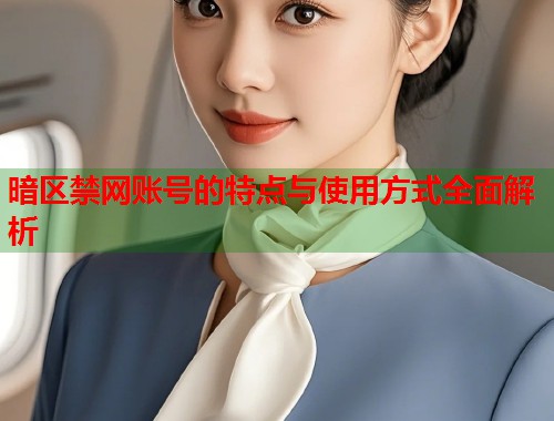 暗区禁网账号的特点与使用方式全面解析