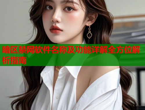 暗区禁网软件名称及功能详解全方位解析指南