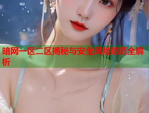 暗网一区二区揭秘与安全风险防范全解析