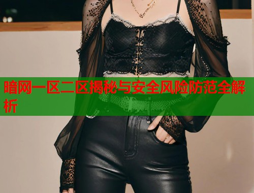 暗网一区二区揭秘与安全风险防范全解析