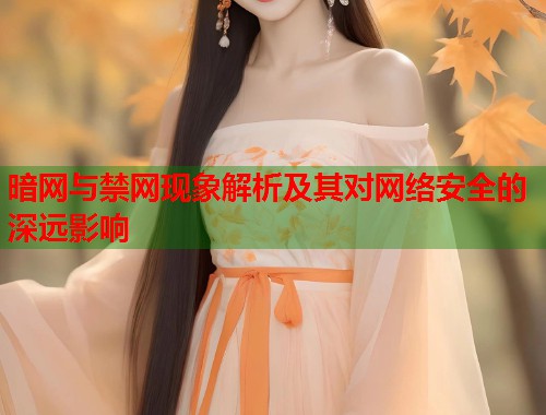 暗网与禁网现象解析及其对网络安全的深远影响