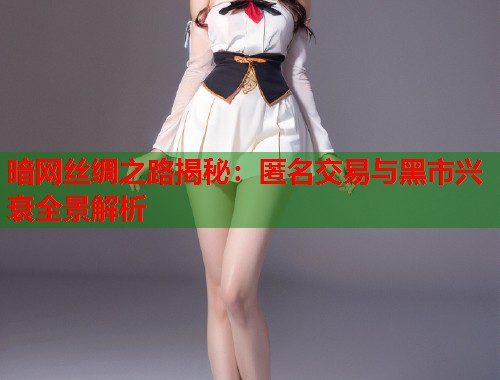 暗网丝绸之路揭秘：匿名交易与黑市兴衰全景解析