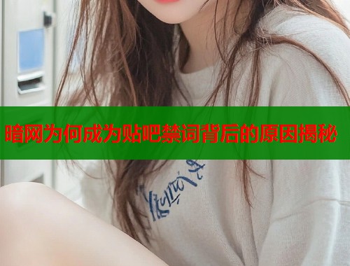 暗网为何成为贴吧禁词背后的原因揭秘