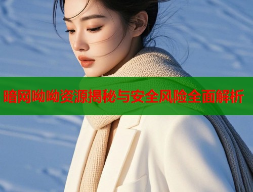 暗网呦呦资源揭秘与安全风险全面解析