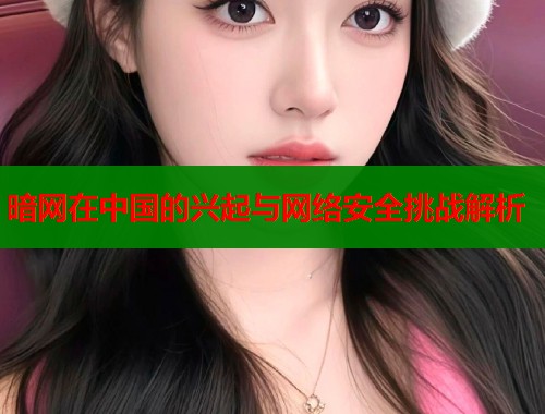 暗网在中国的兴起与网络安全挑战解析