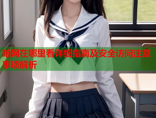 暗网在哪里看详细指南及安全访问注意事项解析