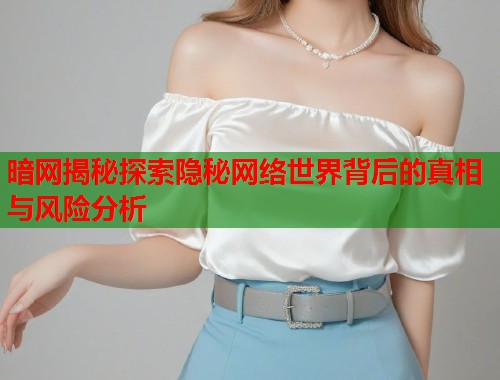 暗网揭秘探索隐秘网络世界背后的真相与风险分析