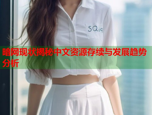 暗网现状揭秘中文资源存续与发展趋势分析