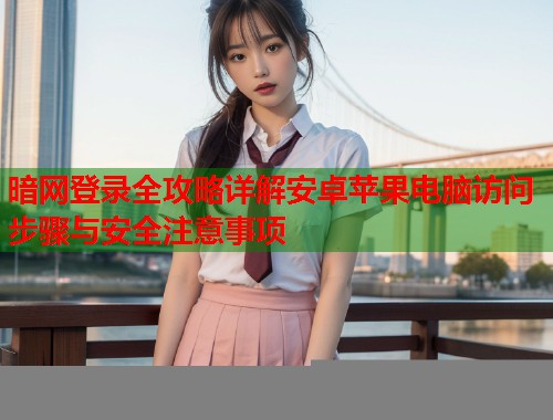 暗网登录全攻略详解安卓苹果电脑访问步骤与安全注意事项