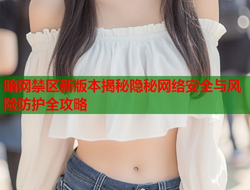 暗网禁区新版本揭秘隐秘网络安全与风险防护全攻略