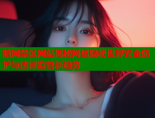 暗网禁区网站揭秘网络隐秘世界安全防护与法律监管新趋势