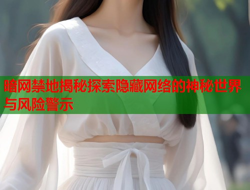 暗网禁地揭秘探索隐藏网络的神秘世界与风险警示