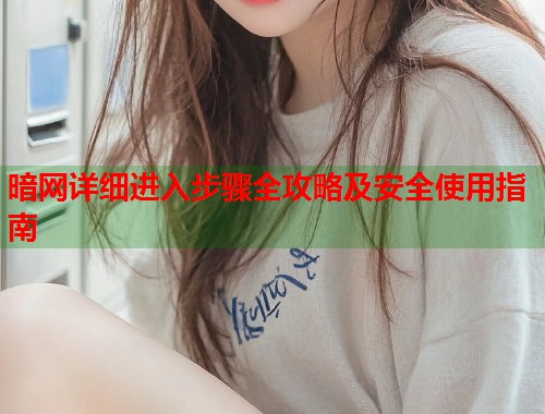 暗网详细进入步骤全攻略及安全使用指南