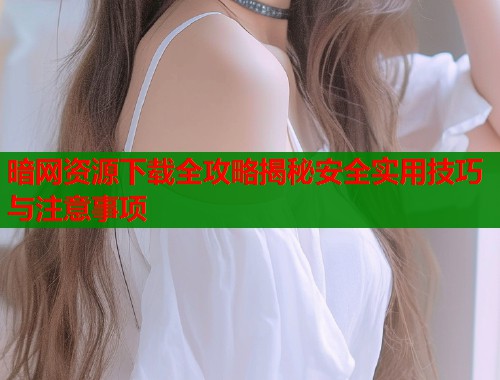 暗网资源下载全攻略揭秘安全实用技巧与注意事项