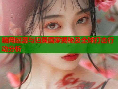 暗网起源与归属国家揭秘及全球打击行动分析