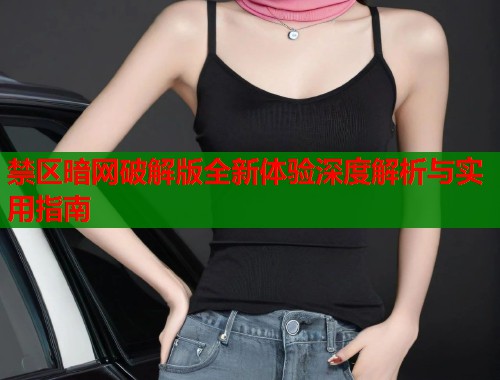 禁区暗网破解版全新体验深度解析与实用指南