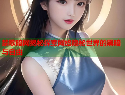 禁歌暗网揭秘探索网络隐秘世界的黑暗与自由