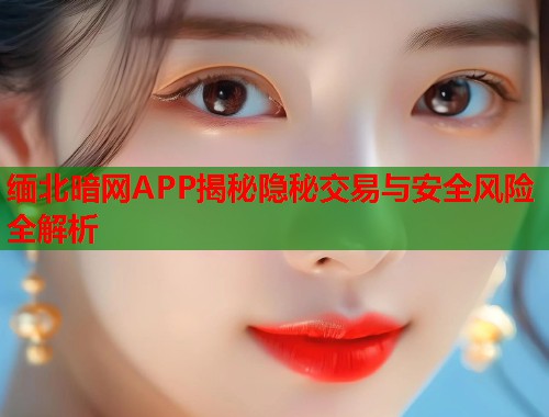 缅北暗网APP揭秘隐秘交易与安全风险全解析