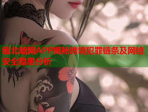 缅北暗网APP揭秘跨境犯罪链条及网络安全隐患分析