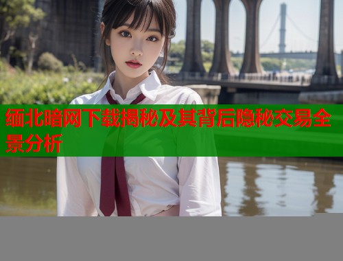 缅北暗网下载揭秘及其背后隐秘交易全景分析