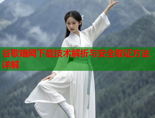谷歌暗网下载技术解析与安全取证方法详解