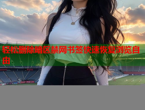 轻松删除暗区禁网书签快速恢复浏览自由